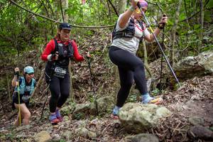 BIB: 
                            <button type="button" onclick="openModal(19382022)" class="btn btn-primary btn-sm float-right btn-popup" data-toggle="modal" data-target=".modal-high-quality">
                        <i class="fas fa-shopping-cart"></i> Add to Cart
                    </button>
                                            <button type="button" onclick="isThisMe(19382022, true)" class="btn btn-success btn-sm float-right btn-popup btn-isme hidden" data-toggle="tooltip" data-placement="bottom" title="นี่คือรูปของคุณใช่ไหม คลิกที่นี่เพื่อเอาเข้าอัลบั้ม">
                        <i class="fas fa-plus"></i> Add to album
                    </button>
                    <button type="button" onclick="isThisMe(19382022, false)" class="btn btn-warning btn-sm float-right btn-popup btn-isnotme hidden">
                        <i class="fas fa-ban"></i> Remove from album
                    </button>